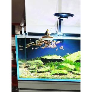 鱼缸造景摆件浮水姜太公钓鱼渔翁老头垂钓水上漂浮喂鱼食生态装饰