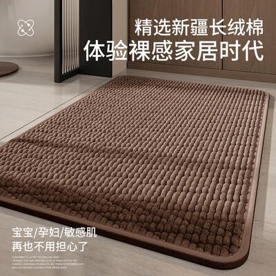 卫生间门口地垫吸水高级感