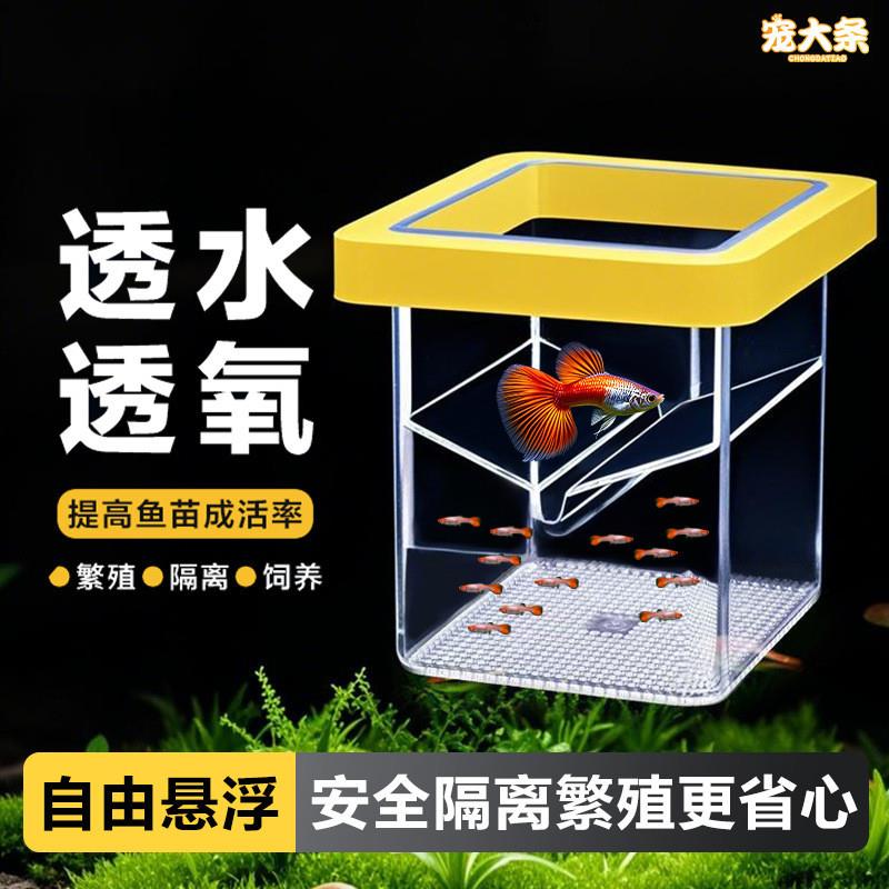 鱼缸隔离盒孔雀鱼繁殖盒母