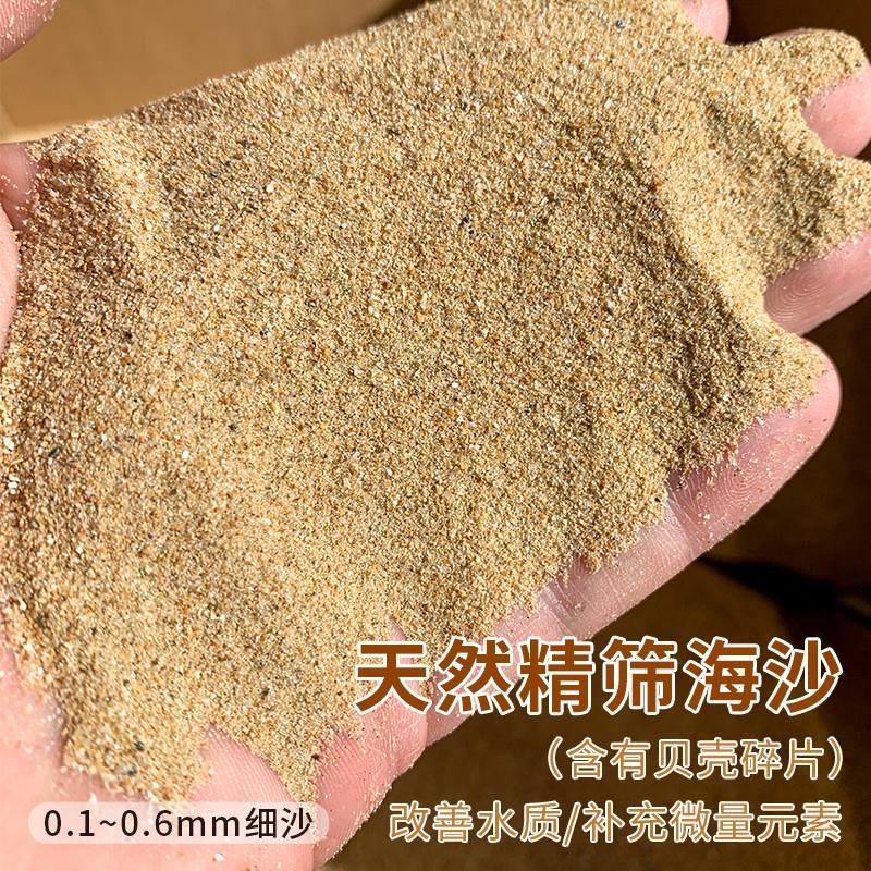 天然细海沙鱼缸水族箱造