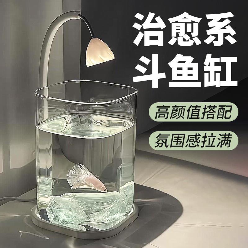 2025新款斗鱼缸小型网红玻