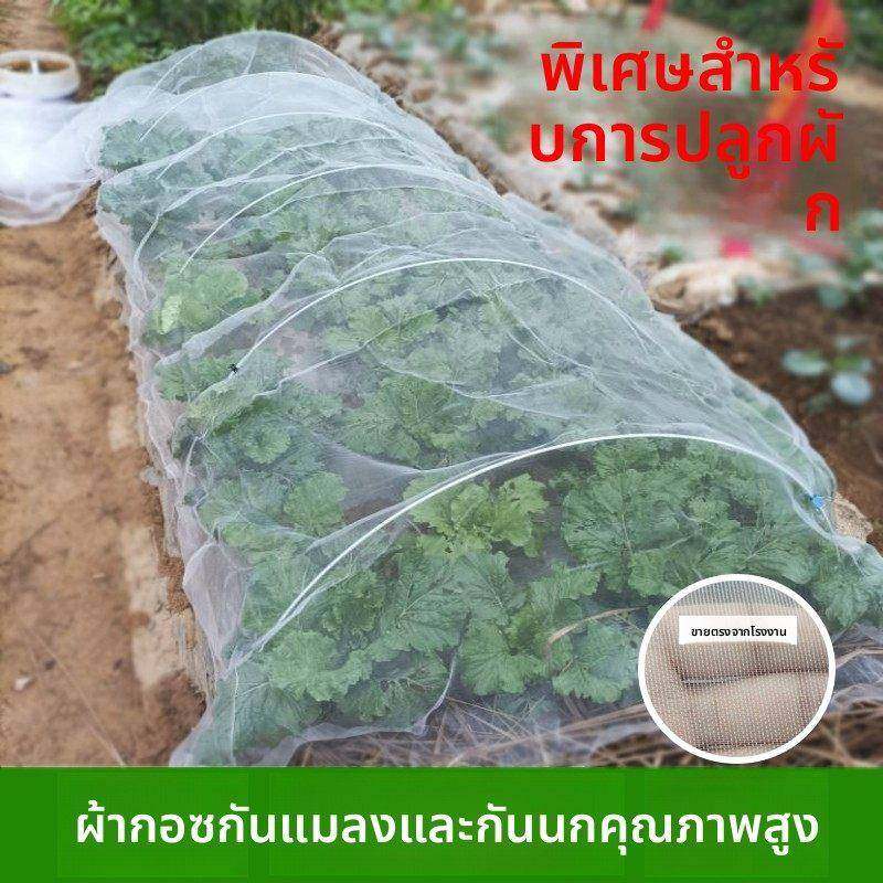 种菜防虫网菜地专用防鸟纱网樱桃防鸟罩大棚蔬菜农用防鸟用网加密,节庆用品/礼品,创意礼盒/礼品套组,淘宝优惠券,粉丝福利购,淘宝优惠卷