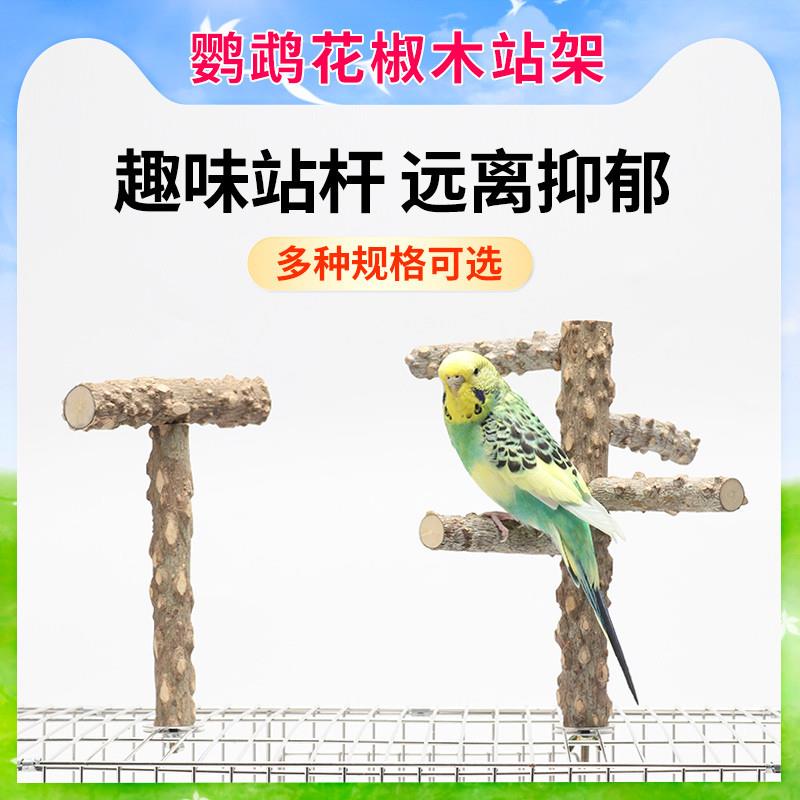 虎皮鹦鹉花椒木站杆牡丹玄