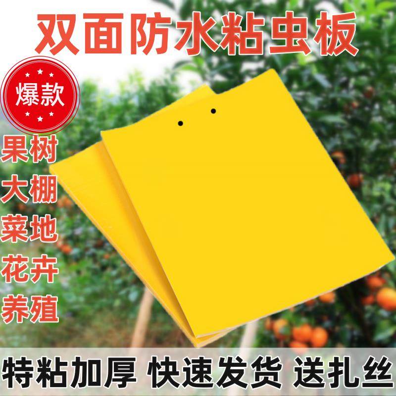 黄板粘虫板农用大棚双面诱虫板果蝇蓟马飞虫粘虫板防虫贴粘虫子,居家日用,粘蝇纸,淘宝优惠券,粉丝福利购,淘宝优惠卷