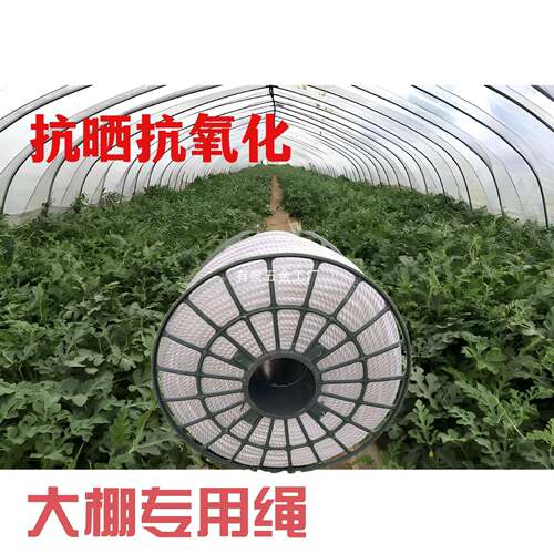 尼龙绳大棚压膜绳广告绳养殖绳抗老化抗氧化耐腐聚乙烯增氧机绳