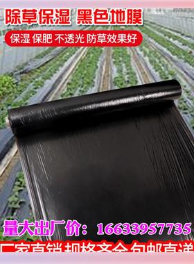 L5HM黑色地膜农用种菜园保温保湿防长草果树种植农田除草塑料胶布