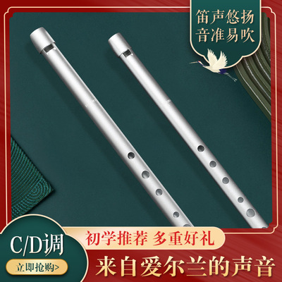 美国NAOMI爱尔兰哨笛C调D调初学