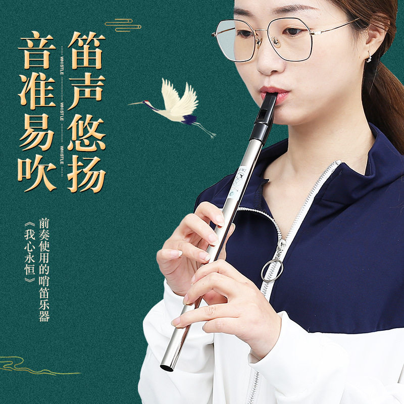 爱尔兰哨笛C调D调笛子初学儿童专