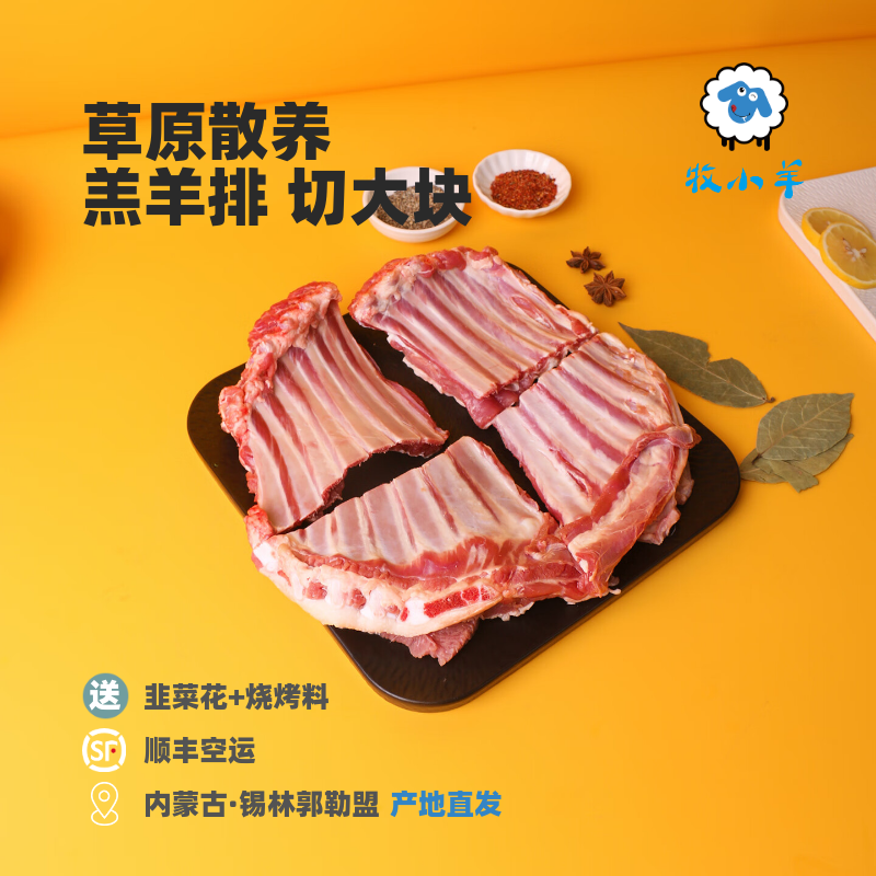 牧小羊内蒙古苏尼特羔羊羊排原切