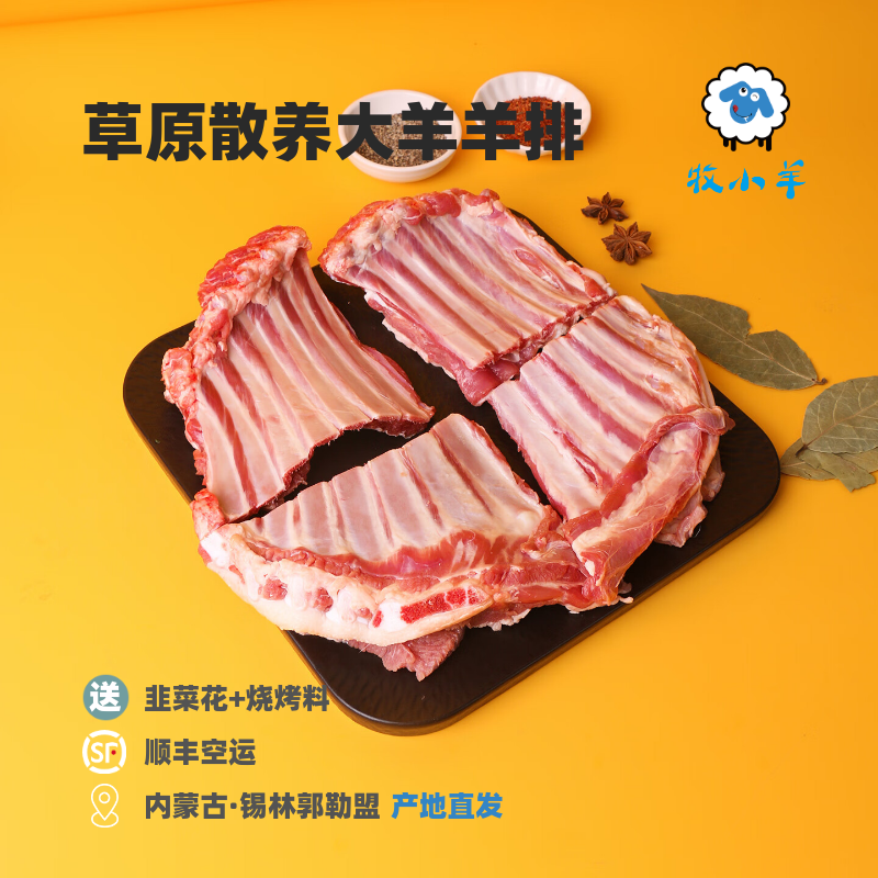 牧小羊内蒙古苏尼特大羊羊排