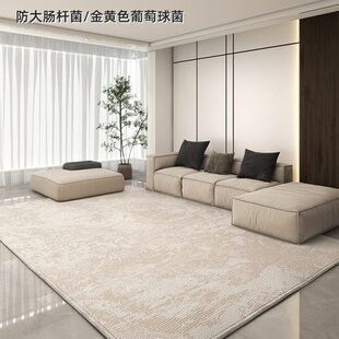 抑菌地毯客厅轻奢高级环保抽象简约沙发茶几垫子家用卧室新款 意式