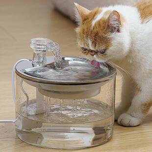 玻璃猫狗大容量2L喝水盆多猫循环自动过滤喷泉宠物智能饮水机