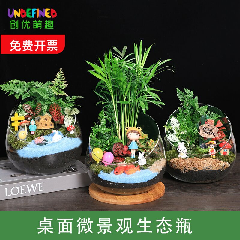 苔藓微景观e盆栽绿植diy材料包桌面迷你植物创意玻璃球生态瓶套装