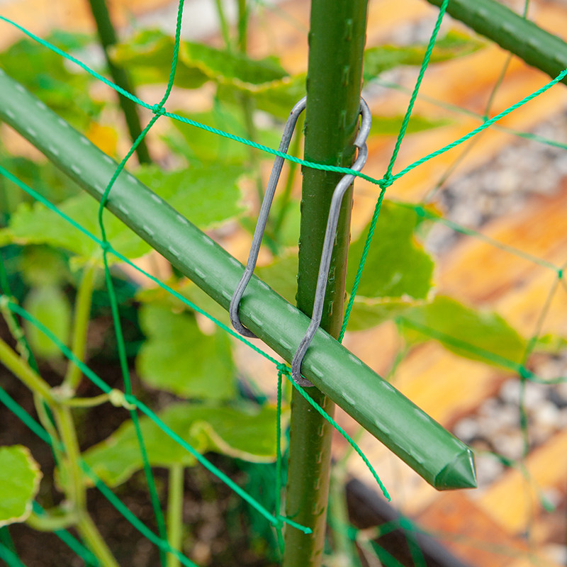 园艺爬藤架e种菜架黄瓜架子丝瓜架葡萄架植物大支架花架蔬菜攀爬