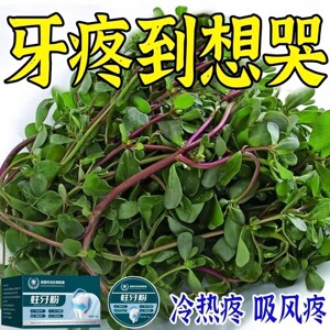 今年很火的】牙缝臭牙石溶解粉洗牙齿污垢牙垢牙黄牙渍清理