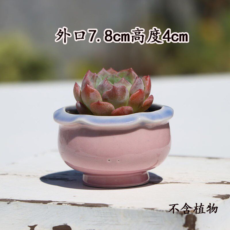 速发新品多肉盆冰裂花边喜光盆精致陶瓷粗陶透气拇指盆控养