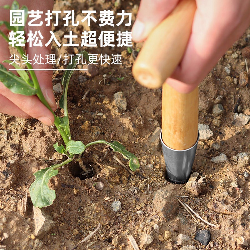 速发种菜专用工具神器农业施肥打孔器泥土打洞移苗器家用园艺播种