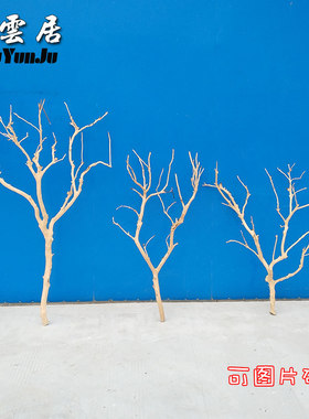 原木干枝分枝干树枝装饰树干枯枝室内天花板挂灯插花挂件舞台NTMS