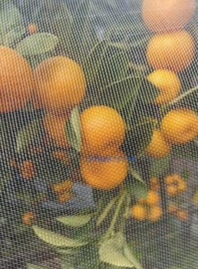 0.9mm Aperture Mesh Net  Pest Control Net Orchard Farm Insec
