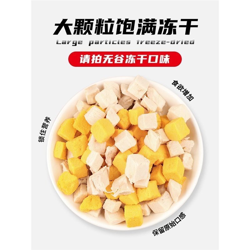 KingJerry买1送1猫粮幼猫1到3月奶猫奶糕4到12月小猫全价共5斤