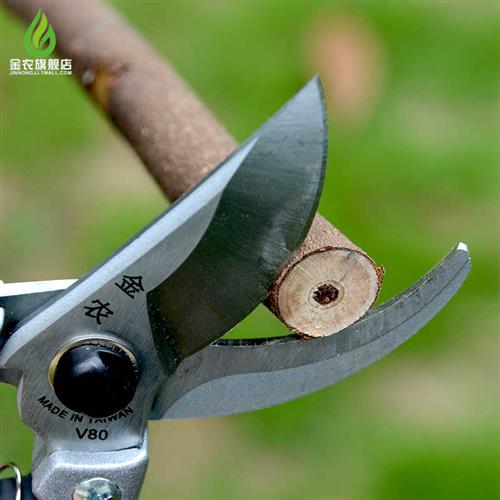 高硬园艺剪园林粗枝园艺修枝剪刀修枝剪花木剪刀修剪树枝果树剪刀