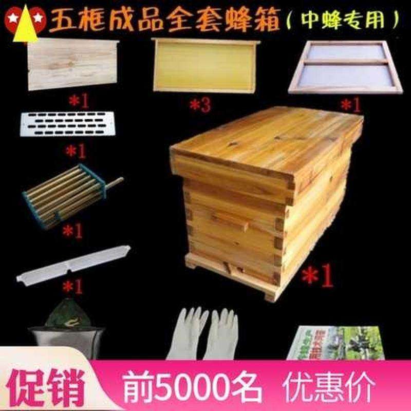 全套中蜂蜂箱双王箱养蜜蜂小型格子箱散装五七十框密峰箱蜂箱交尾