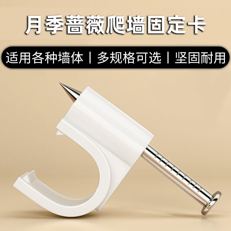 藤本月季蔷薇固定器爬墙钢钉卡扣卡钉固定墙上面月季牵引固定枝条