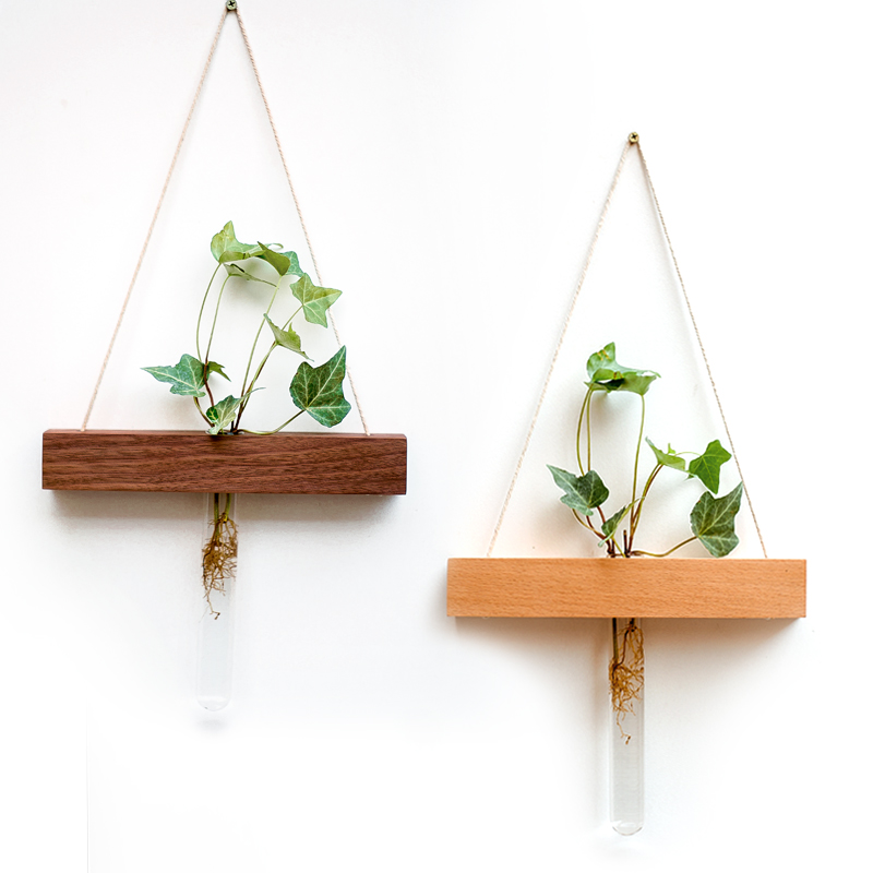 挂饰墙壁装饰室内客厅壁挂花架实木创意ins北欧试管透明玻璃水培