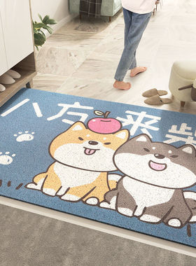 Entrance door mat entrance door PVC loop floor mat step on