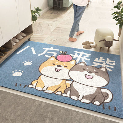 Entrance door mat entrance door PVC loop floor mat step on