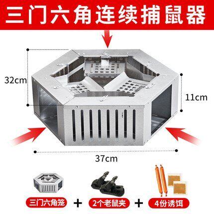 Mouse artifactX mouse a nest end rodent household indoor hi