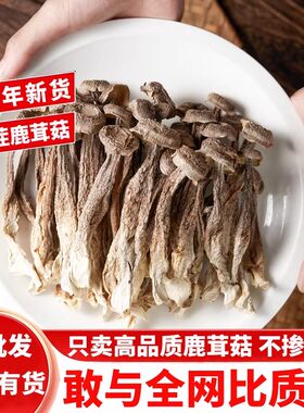 鹿茸菇福建古田干货特产煲汤香菇