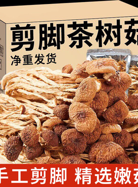 2026云南农家茶树菇干货甄选新鲜茶薪菇香菇蘑菇250g