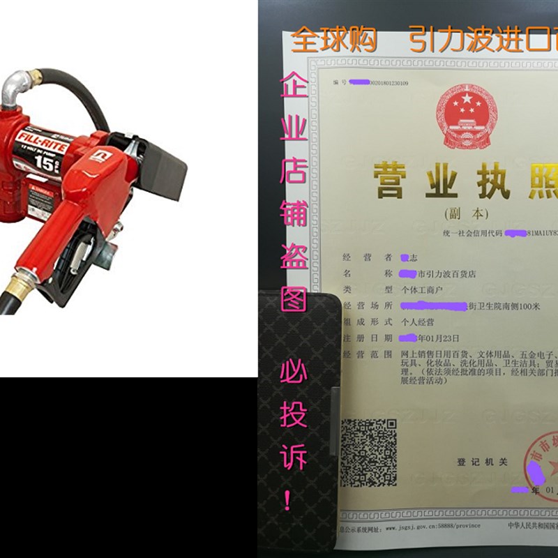 Fill-Rite FR1210GA 12V DC Fuel Transfer Pump