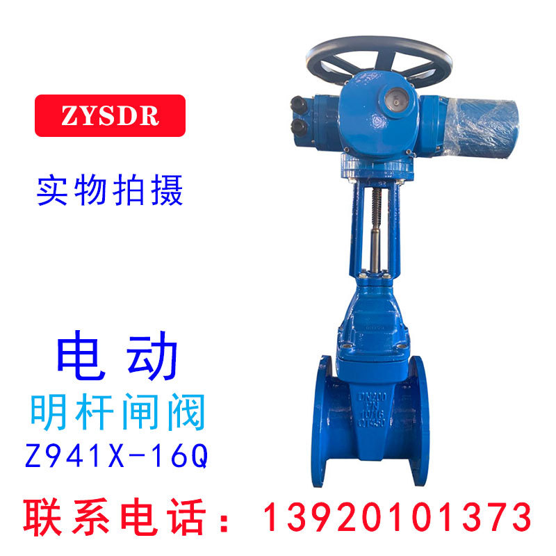 电动明杆闸阀 软密封闸阀 球墨铸铁材质 工厂天津Z941X-10/16Q