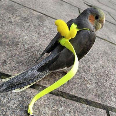 鹦鹉放飞绳超轻抱婴袋式不伤脚玄凤虎皮鸟外出遛鸟牵引飞行溜鸟神