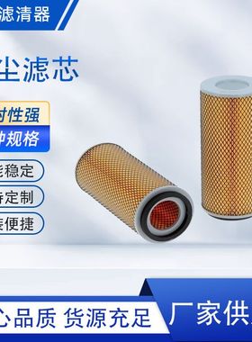 供应HV滤纸 P609239 空气滤芯 P606503 气体过滤除尘滤筒