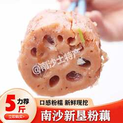 广州南沙新垦莲藕新鲜现挖煲汤粉藕糯米藕炖汤九孔藕真空过节送礼