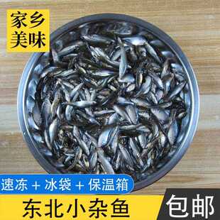 东北小杂鱼开江鱼酱东北小鱼酱东北新鲜麦穗鱼