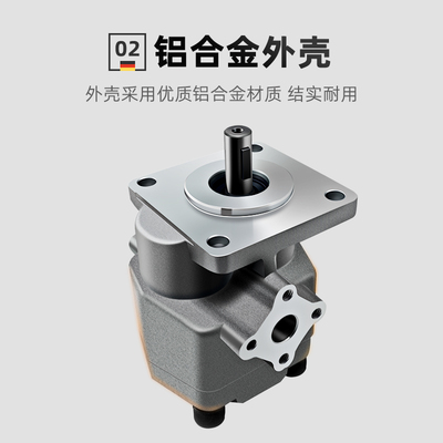 极速高压液压齿轮油泵总成GPY HGP-2A-F2R/3R/4R/5R/6/8/9/10/11R