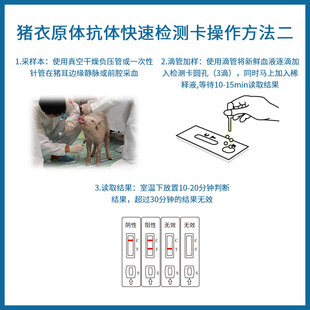 兽用猪衣原体抗体检测卡猪用衣原体抗体检验试纸猪检验试纸