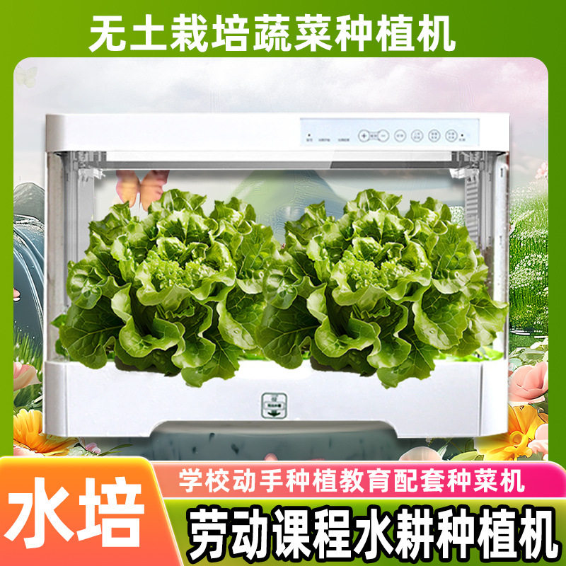 安迪同款智能种菜机水培种植箱无土栽培跨境家用蔬菜种植阳台菜园