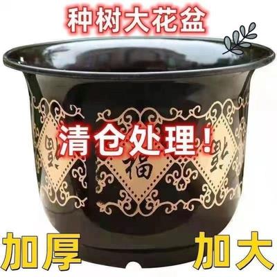 花盆清仓处理特价亏本特大号花盆