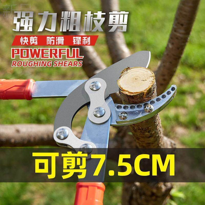 果树剪刀大力强力园林果园修剪树枝修枝园艺工具大省力修高粗枝剪图片