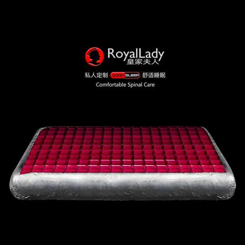RoyalLady皇家夫人凝胶枕头慢回弹记忆棉枕芯护颈椎专用睡眠无压