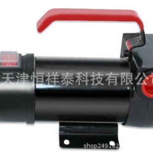 供应 SWL-24 直流柴油加油泵 体积小 扬程10米  吸程5米