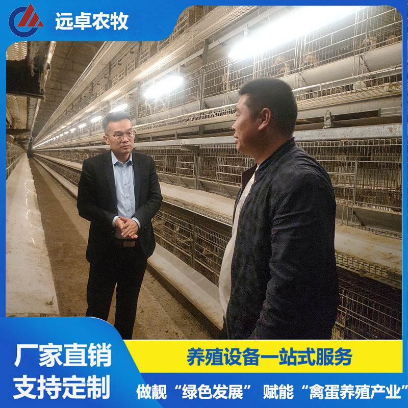 H型框架蛋鸡蛋鸭养殖自动捡蛋行车喂料 重庆五层蛋鸭立体养殖笼
