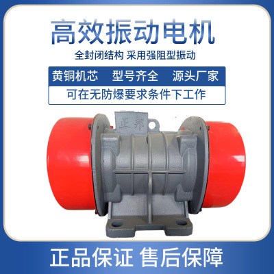 XZB-100-6/7.51KW/六级980转速 三相振动电机380v