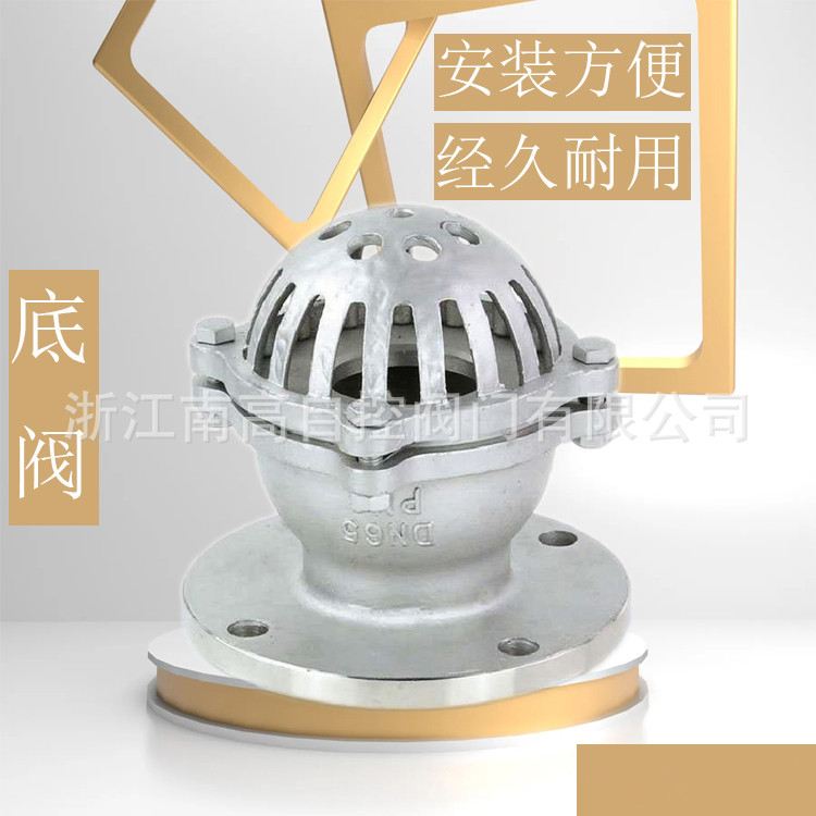 H42X-25P 吸水底阀 抽水泵底阀 法兰底阀 大体底阀 单向南高阀门