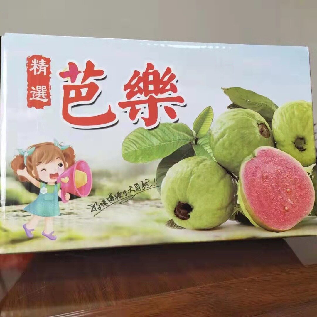 红心白肉芭乐纸箱珍珠番石榴包装盒包装箱无产地通用包装礼品盒子